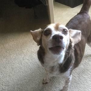 Meet your Posher, Jen